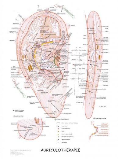 Aurikuloterapia - plagát