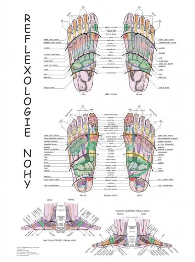 Reflexológia nohy - plagát