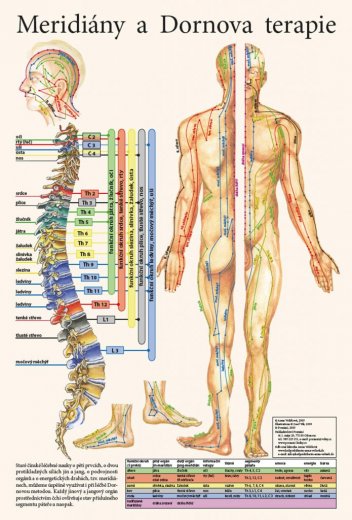 Meridiány a dornova terapia - plagát